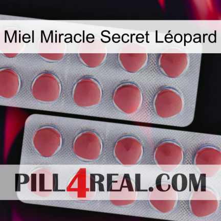 Miel Miracle Secret Léopard 19